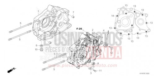 CARTER MOTEUR CRF110FP de 2023